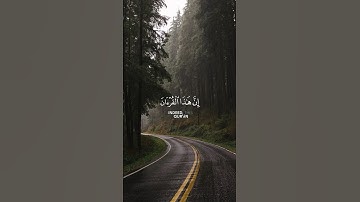 ايه من سورة الإسراء || القارئ بشار سراج