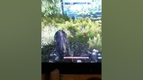 Skyrim easy blocking level up