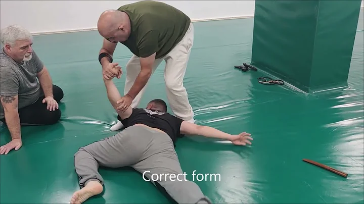 Ogawa Ryu -  AIKIJUJUTSU / Tension in Hara - Shido...