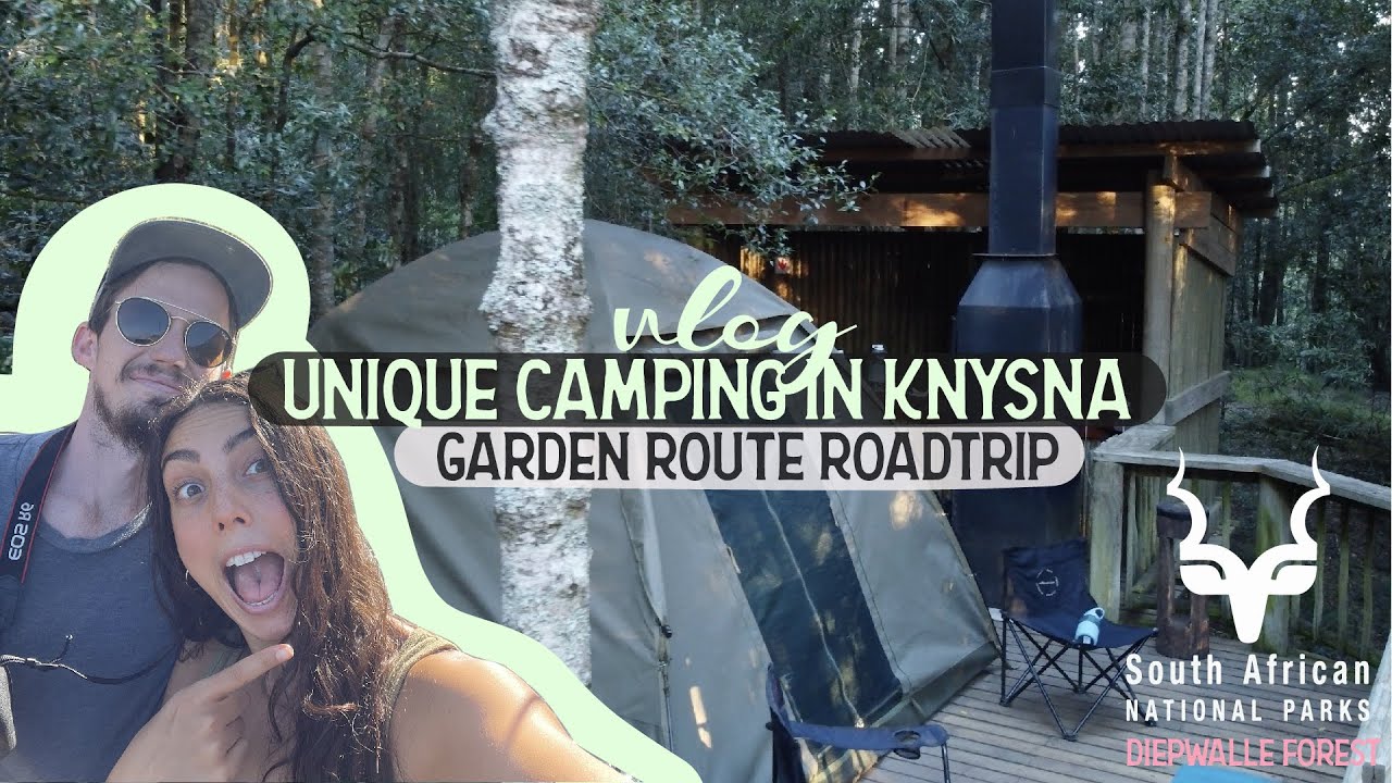 UNIQUE FOREST CAMPING IN KNYSNA 🌳 - Day 4 of our Big Garden Route Road ...