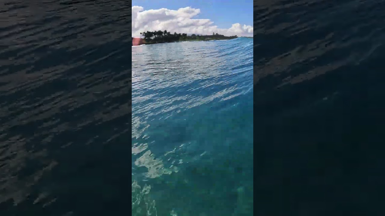 INSANELY SHALLOW REEF WIPEOUT