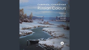 String Quartet No. 2 in A Minor, Op. 35 (Excerpts Arr. Y. Zhislin for String Orchestra) : III....