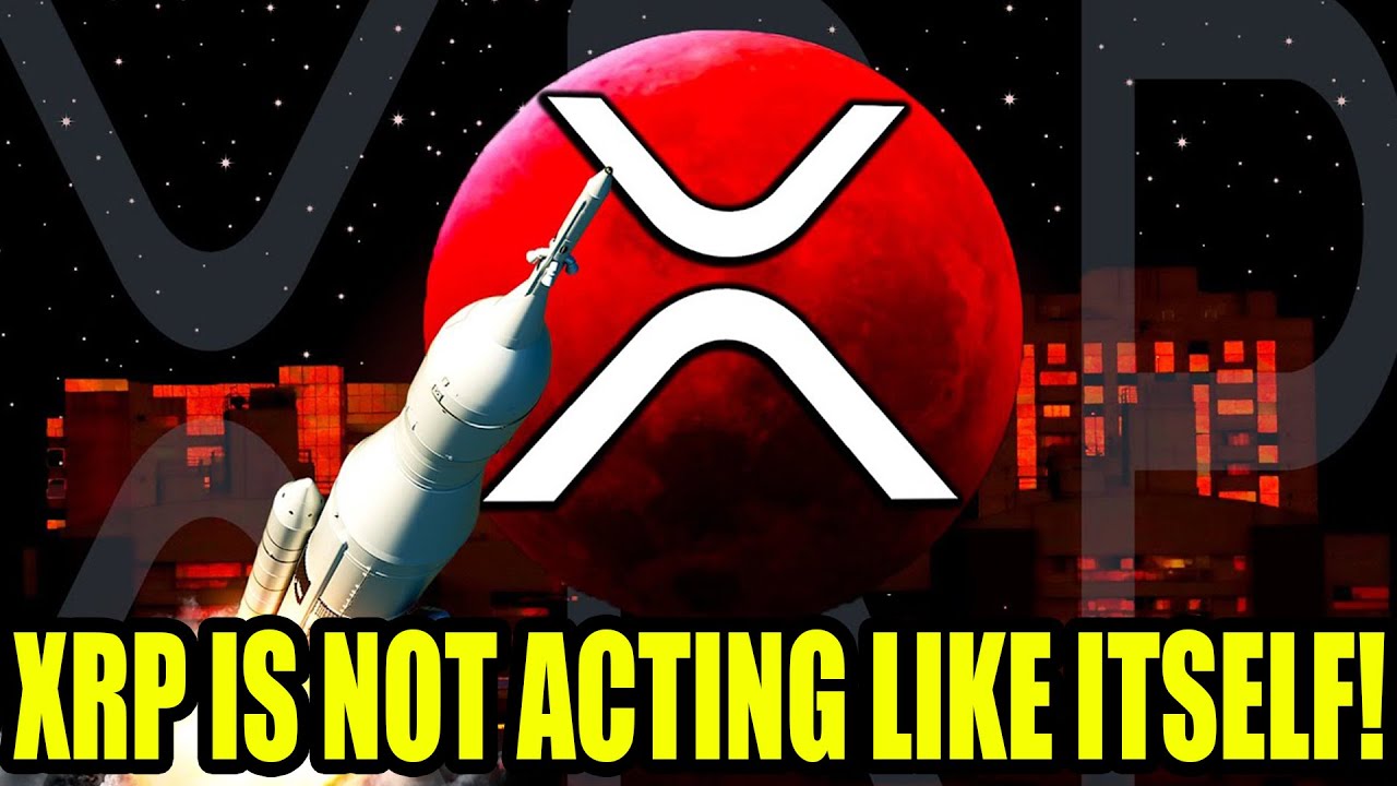 EARLY XRP INVESTOR CALLS FOR 113 840 XRP PRICE INCREASE FULL EARLY XRP INVESTOR CALLS FOR 113 840 XRP PRICE INCREASE FULL