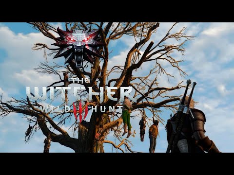 The Witcher 3. Заказ - опасные развлечения. Жестокий выбор, поспешное решение