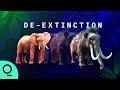 What Happens If We Solve Extinction?