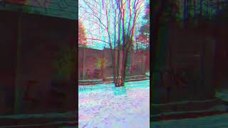 #ninebot #электросамокат #мещера #зима