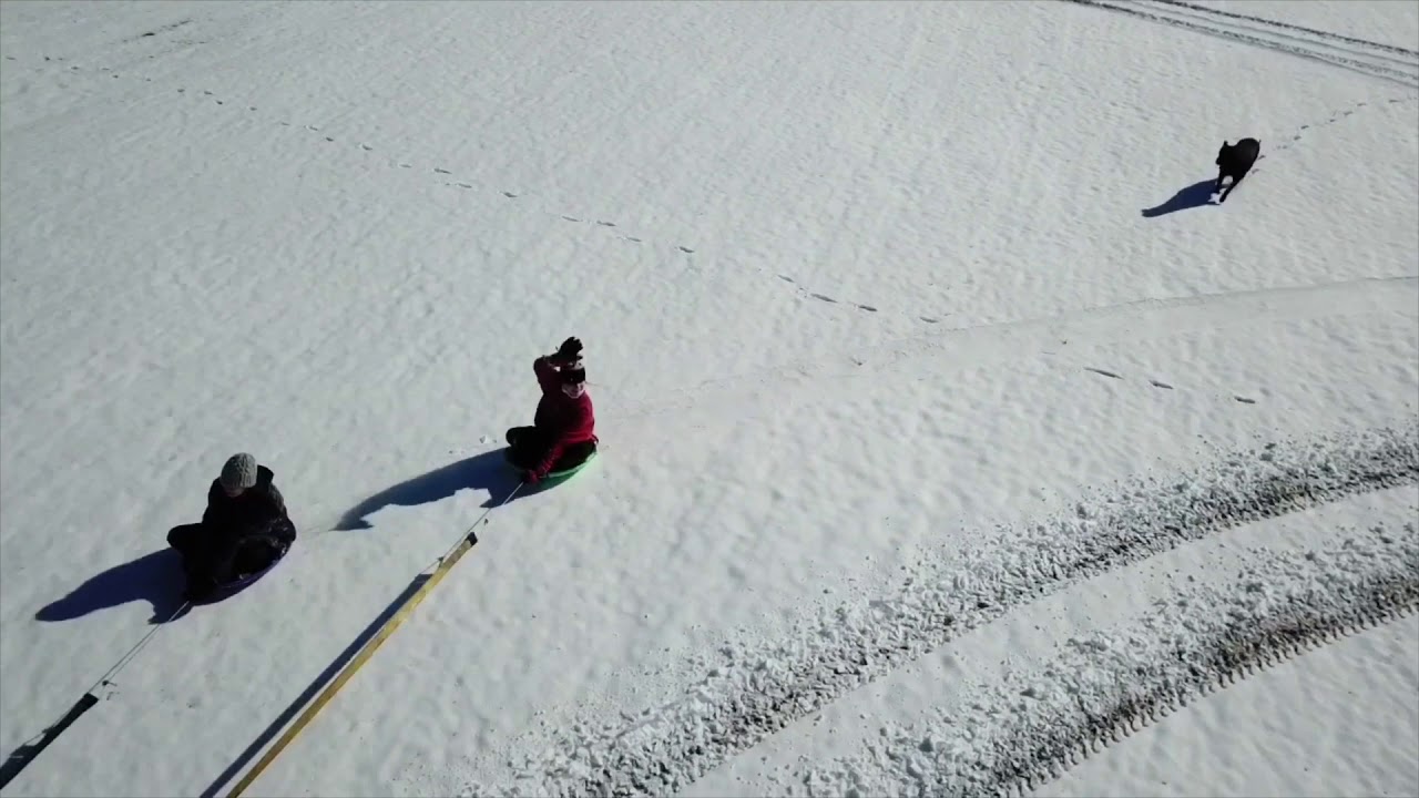 Snow Day 2020 - YouTube