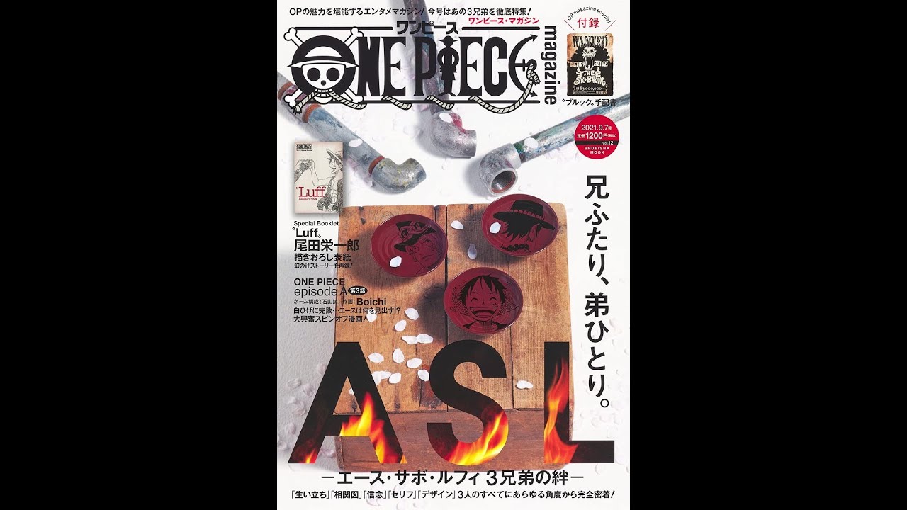 紹介 One Piece Magazine Vol 12 集英社ムック 尾田 栄一郎 Youtube