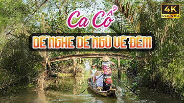 Ca Vọng Cổ Miền Tây Hơi Dài Thư Giãn Dễ Ngủ - Ca Cổ Cải Lương Ru Ngủ Về Đêm Hay Nhất🌾Tân Cổ Dân Ca
