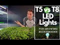 BEST CHEAP LED Lights for Growing Microgreens!?! Barrina T5's vs T8's