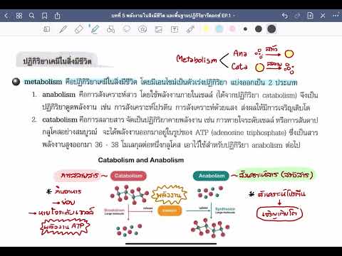 วีดีโอ: พลังงานได้รับและใช้พลังงานจากสิ่งมีชีวิตอย่างไร?