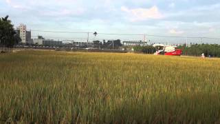 yanmar野馬106割稻機 外掛結束機