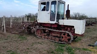 Первая культивация после зимы, Лучший трактор для виноградника,Т - 70, Молдаван