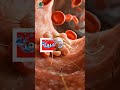 Anotomy Quiz - comment how many did you get? #quiz #quiztime #AnatomyQuiz #MedicalQuiz #biologyquiz