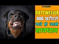 Things You Should Know Before Buying A Rottweiler | Cheapest Dog Kennel | Fake Breeder Of Rottweiler