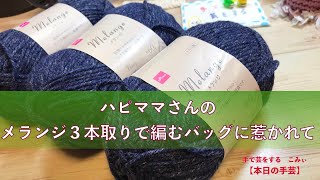 ハピママさんのメランジ３本取りで編むバッグに惹かれて【本日の手芸】today's handicraft