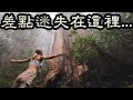 童話裡的魔幻森林真的存在🌲全台灣最美的神木步道! 90度峭壁, 天然檜木群, 泰雅族"神聖之山"| 新竹北得拉曼巨木步道 | Taiwan Giant Tree Trail