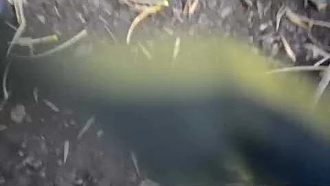 Как правильно целоваться