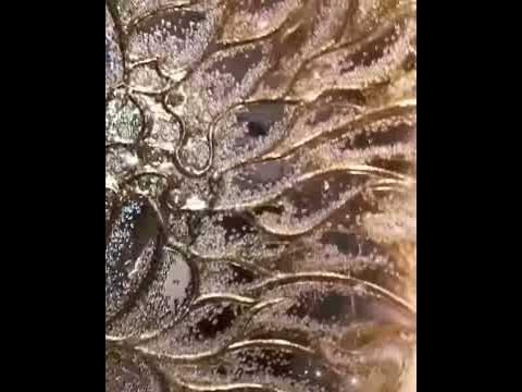 Картина «Золотой Лотос» - YouTube