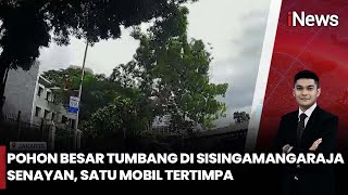 Download Lagu Pohon Besar Hantam Mobil di Jalan Sisingamangaraja, Lalin Langsung Dialihkan | iNews Siang 20/11 MP3