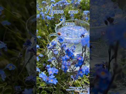 #длявасдрузья #доброеутро #музыкальнаяоткрытка #видеоролики #доброеутрооткрытки