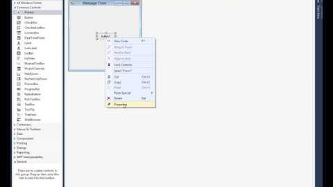 Asp.net Hello World APP Win Forms banglaTutorial-2