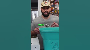 Snake Bedding Mix: Humidity Hack!