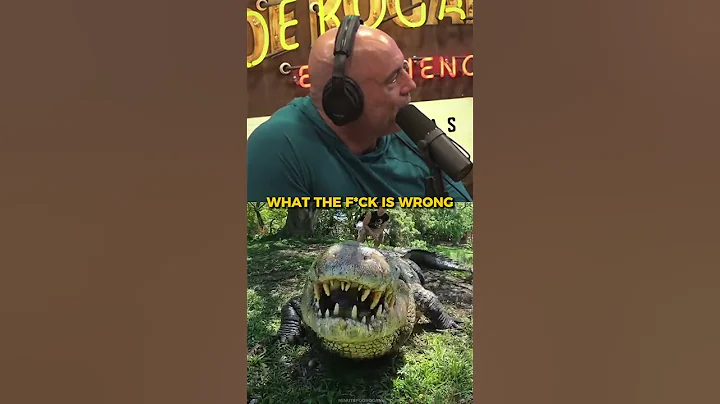 The OLDEST Crocodile 🐊🤯