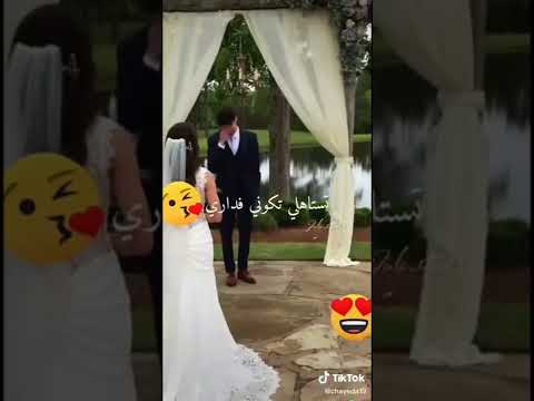 شوفوا ردة فعل العربي بعد ماشاف عروستوا