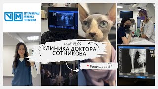 обзор клиники доктора Сотникова