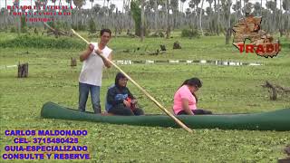BAÑADO LA ESTRELLA - FORTIN SOLEDAD - FORMOSA