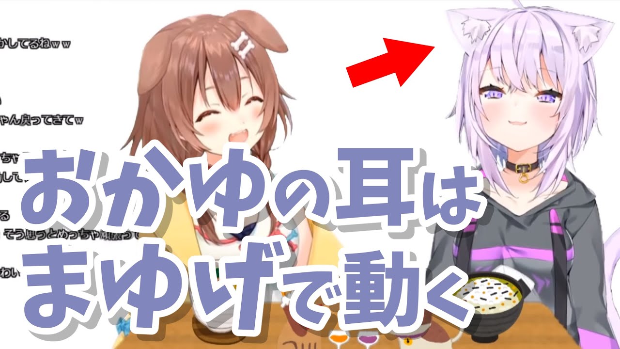 猫又おかゆの耳がまゆげと連動して動くことに大爆笑する戌神ころね ホロライブ 切り抜き