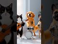 chien🐶🐕🐩 chat🐱😺🐈 danse #youtubeshorts #videoshort