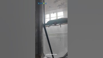 EPS fully automatic silo system.#eps #machine #epsfoam #factory