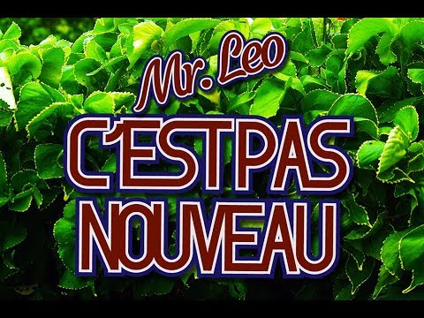 Mr. Leo - C'est Pas Nouveau (official Video)