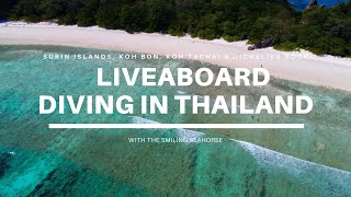 Liveaboard diving in Surin islands, Koh bon, Koh Tachai and Richelieu Rock, Thailand