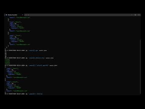 jq - Lightweight command-line processor for JSON