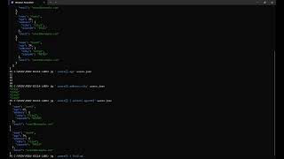 jq - Lightweight command-line processor for JSON