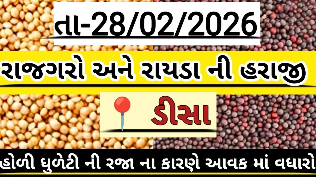 ડીસા રાજગરા અને રાયડા ની હરાજી//deesa rajgaro and raida ni haraji//अनाज मंडी #deesa #farming #new 