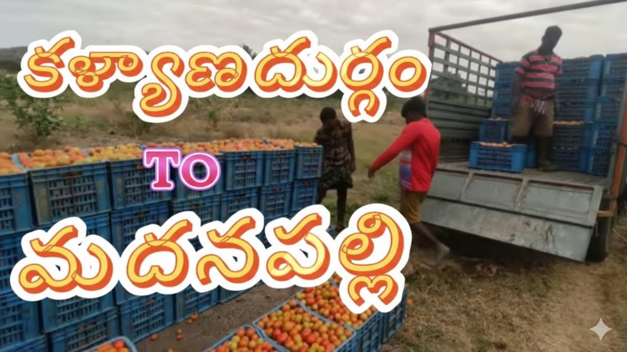Kalyandurg To madanapalli 🍅 loading 