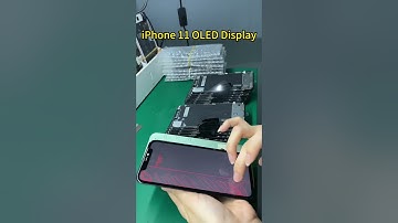 iPhone 11 Hard OLED Display, iPhone Screen Factory iPhone 11 LCD OLED Screen Testing.#iphone11  #lcd