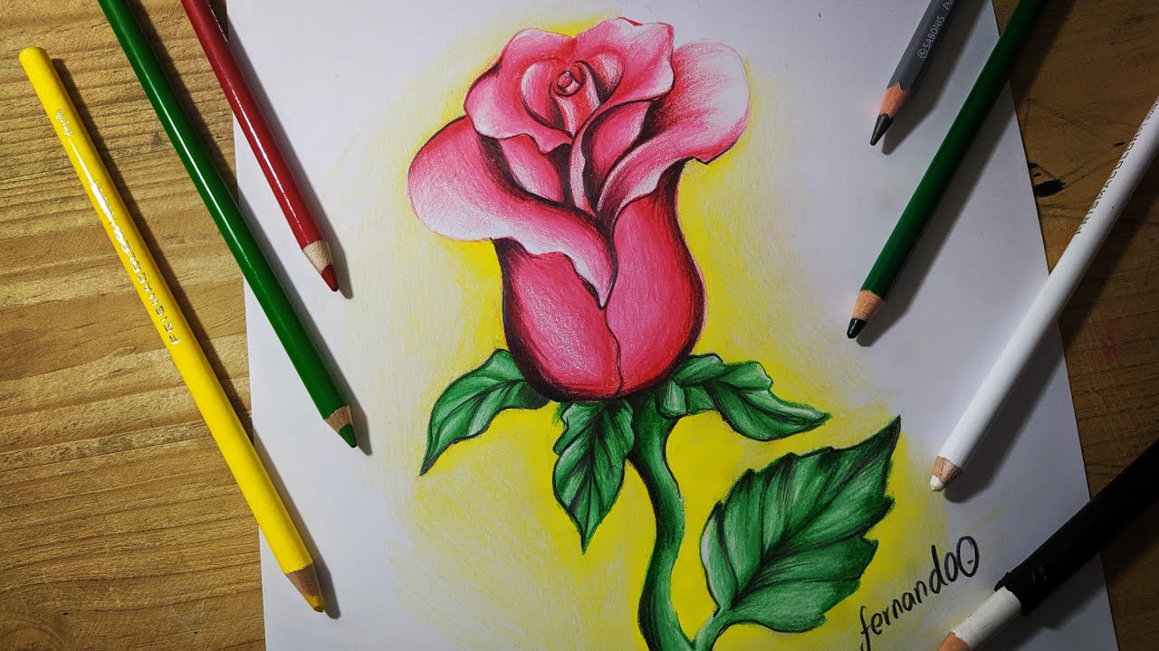 COMO DIBUJAR UNA ROSA CON LAPIZ - DIBUJOS BONITOS - thptnganamst.edu.vn