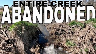 “BEAVERS GIVE UP” Abandon Creek After Beaver Dam Removal Annoyance