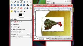 GIMP: How to use the fuzzy select tool.