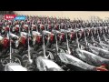 Car Manufacturer Honda Expands Its Scope To Burundi Car Manufacturer Honda Expands Its Scope To Burundi