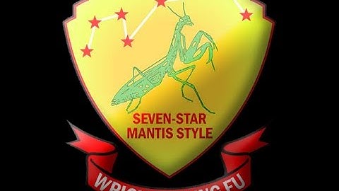 Seven Star Mantis Kung Fu Applications