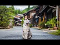 Inside Japan's Stunningly Beautiful Shukuba (Post Towns)