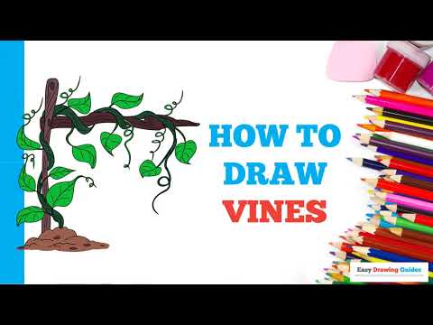 How to Draw Vines