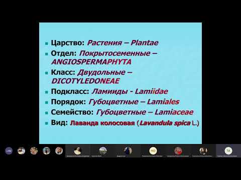 Классификация растений. Методы окрашивания