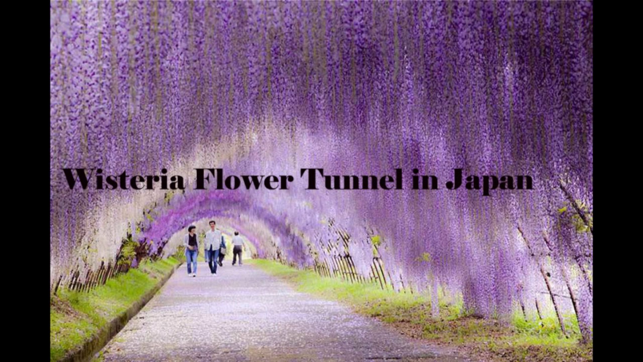 25 Unbelievable Places that are Hard to Believe Really Exist